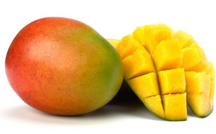  Exportación de mango peruano presenta un alza del 22% y se posiciona en el mundo