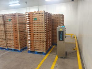 maquina de ozono en camara de tomates
